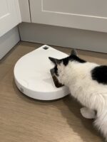 Closer Pets C500 Futterautomat mit Digitaltimer & Kühlakkus – Automatische Fütterung für Katzen – Bild 3