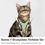 BuddyArmor Y-Form Katzengeschirr Ausbruchsicher – Gepolstertes Softgeschirr für kleine bis grosse Katzen – Bild 4