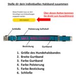 elropet Personalisiertes Hundehalsband mit Bestickung – XS bis XXL für alle Hunde – Bild 2