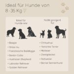 Tailoir Hundeleine 2m geflochten – Paracord Führleine für Mittel- & Grosse Hunde – Bild 6