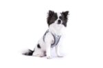 Curli Glow Clasp Vest Harness Reflective Gray S – Sicherheitsgeschirr mit 360° Reflexion – Bild 6
