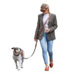 FREUDENTIER Freihandleine 3m – Verstellbare Umhängeleine für Hunde bis 45kg