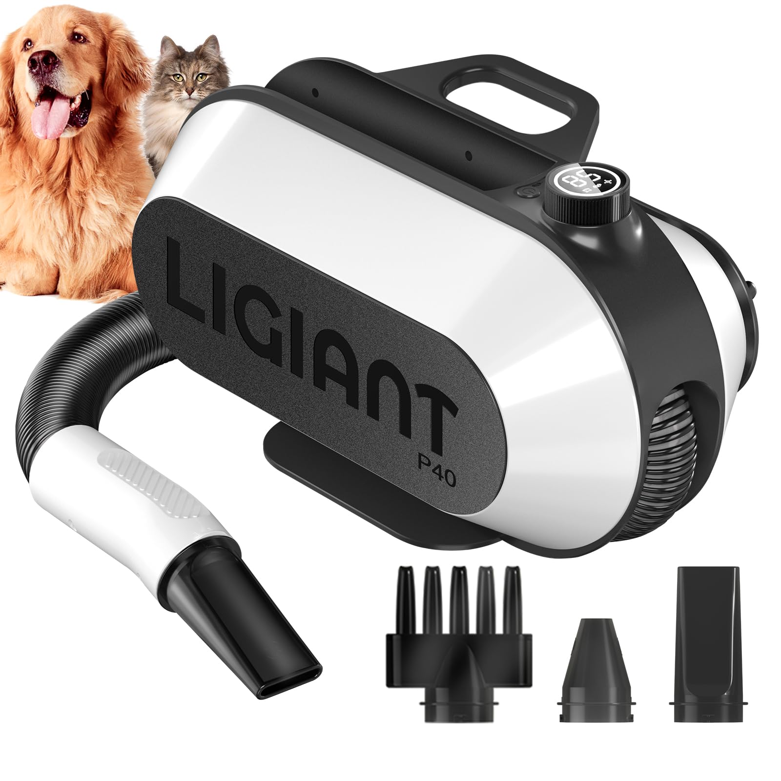 LIGIANT P40 Hundefön mit Negativ-Ionen & Katzen-Modus – Professionelles Trocknen für Hunde & Katzen