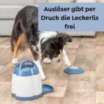 TRIXIE Memory Trainer 3.0 – Intelligenzspielzeug für Hunde mit stufenweise Schwierigkeit – Bild 4