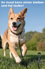 Vehepeay Bodenanker Hund bis 100 kg – Spiralverankerung mit 360° Drehung für mittlere & grosse Hunde – Bild 7