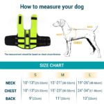 NAMSAN Hundeschwimmweste Grösse L – Aufblasbare Rettungsweste mit Auftrieb für Hunde – Bild 5