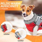 Nasjac Winter Hundemantel mit abnehmbarem Geschirr – Wasserdicht & warm für alle Grössen – Bild 5