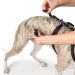 HUNTER VARIO RAPID Sicherheitsgeschirr Größe S-M – Panikgeschirr mit Bauchgurt für Angsthunde – Bild 7