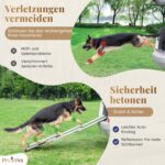 PRIORPET Hunderampe Auto Klappbar – Stabile Einstiegshilfe bis 90kg für grosse Hunde – Bild 8