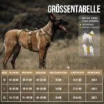 OneTigris HOUNDLOCK Taktisches Hundegeschirr – Ausbruchsicher & Komfortabel in Grösse M – Bild 2