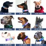 Spark Paws Taktisches Hundehalsband 5cm – Robust & Komfortabel für Grosse Hunde – Bild 3