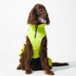 DOGOPAL Regenmantel Hund wasserdicht mit Reflektorstreifen – Gelber Hundemantel für alle Grössen – Bild 13