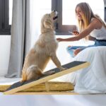 UISEBRT Hundetreppe Klappbar aus Holz – Hunderampe bis 100 kg mit Anti-Rutsch – Bild 2