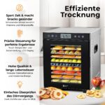 Balter DA-109 Dörrautomat Edelstahl – 10 Fächer, 700W, Timer 48h für Obst & Fleisch – Bild 3