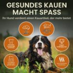 Wildfang® Kauwurzel Grösse M aus Baumheide – Natürliches Kauspielzeug für Hunde 15–25 kg – Bild 5