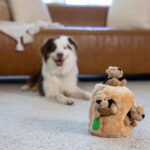 Outward Hound Hide-A-Squirrel Intelligenzspielzeug Grösse L – Interaktives Versteckspiel für Hunde – Bild 6