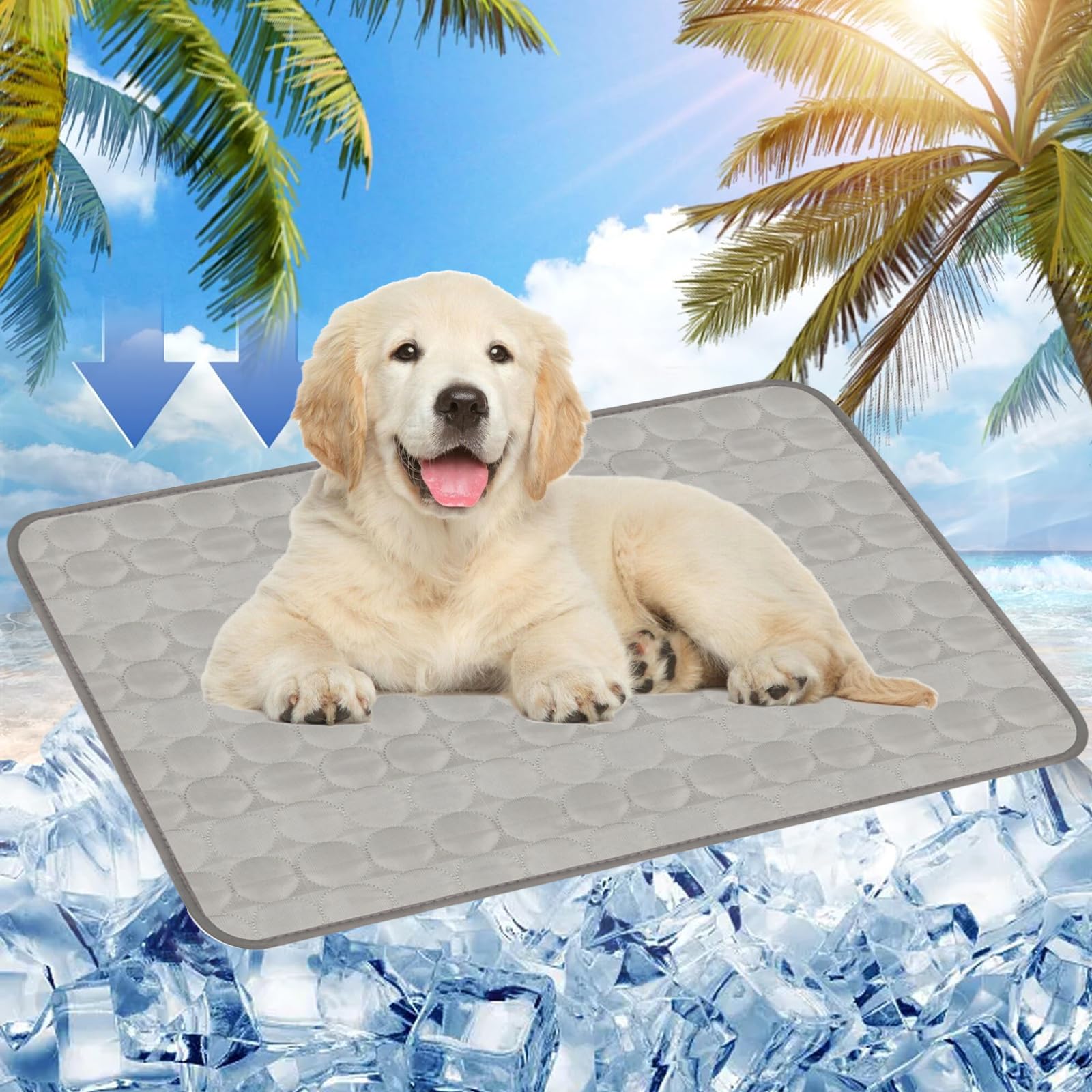 Dawumin Hundekühlmatte 70x55cm – Selbstkühlende Kühldecke für Hunde & Katzen