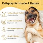 PETCLEAR Entfilzungsspray 80 ml – Schonende Fellpflege mit Zitronengrasöl für Hunde & Katzen – Bild 2