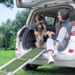 PRIORPET Hunderampe Auto Klappbar – Stabile Einstiegshilfe bis 90kg für grosse Hunde – Bild 12