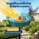 VIVOHOME 35 cm Vogeltränke mit Solarbrunnen – Grün, wetterfest & vogelfreundlich – Bild 5