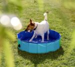 Sweetypet Hundepool 80 x 20 cm – Faltbarer Planschpool mit rutschfestem Boden – Bild 7