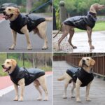 Idepet Hundemantel wasserdicht & warm – Reflektierender Schneeanzu für mittelgrosse Hunde – Bild 5