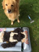 PetPäl Unterfellbürste für Hunde & Katzen – Effektive Fellpflege mit Ergo-Griff – Bild 7