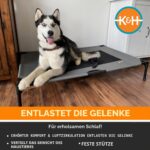 K&H Erhöhtes Hundebett XL – Atmungsaktiv & Kühlend für grosse Hunde – Bild 3