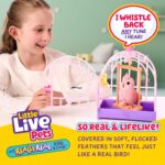 Little Live Pets Rosie Vogel & Käfig – interaktives Vögelchen mit 20+ Geräusche – Bild 3