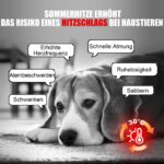 Angelpet Kühlmatte M 65x50cm – Selbstkühlende Gelmatte für Hunde & Katzen – Bild 2