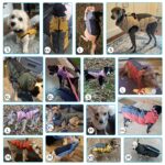 Savlot Wasserdichter Hundemantel mit Fleecefutter – Winterjacke für kleine bis grosse Hunde – Bild 2