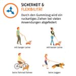 Floxik Ruckdämpfer Hund Gross – Elastische Leinenverlängerung für Sicherheit beim Joggen & Radfahren – Bild 3