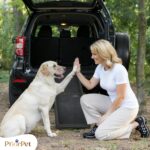 Hunderampe Auto Klappbar 174 cm – Rutschfeste Rampe bis 85 kg für grosse Hunde – Bild 12