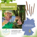 Vogelgaleria® 5er Set Naturholz Sitzstangen – Vogelzubehör für Wellensittich & Nymphensittich – Bild 8