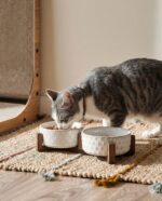 LE TAUCI Keramik Hundenapf-Set mit Akazienholzständer – 430 ml für Welpen & Katzen – Bild 6