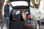 TRIXIE Aluminium Hunde-Transportbox S – 48x56x61 cm, bruchsicher für sicheres Reisen – Bild 4