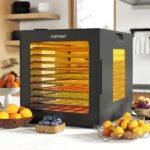 COSTWAY 850W Dörrautomat mit 10 Edelstahl-Schalen – Lebensmittel-Trockner für Obst, Gemüse & Fleisch – Bild 2