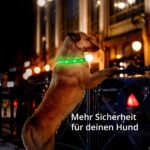 LED Leuchthalsband für Hunde Grösse M – USB-aufladbar mit 10-15h Akkulaufzeit – Bild 6