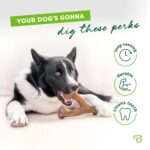 Benebone Wishbone Kauspielzeug L – Langlebiger Hundeknochen mit echtem Speck für aggressive Kauer – Bild 3