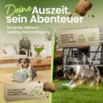 Petural Sniffix – 8-in-1 Schnüffelwürfel Intelligenzspielzeug für Hunde bis 25 kg – Bild 3