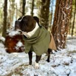 Spark Paws Hunderegenmantel wasserdicht & winddicht – Reflektierender Schutz für alle Grössen – Bild 6