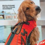 EzyDog DFD X2 Boost Schwimmweste Hund Grösse L – Premium Rettungsweste für Wasser & Boot – Bild 4
