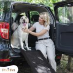 Hunderampe Auto Klappbar 174 cm – Rutschfeste Rampe bis 85 kg für grosse Hunde – Bild 11