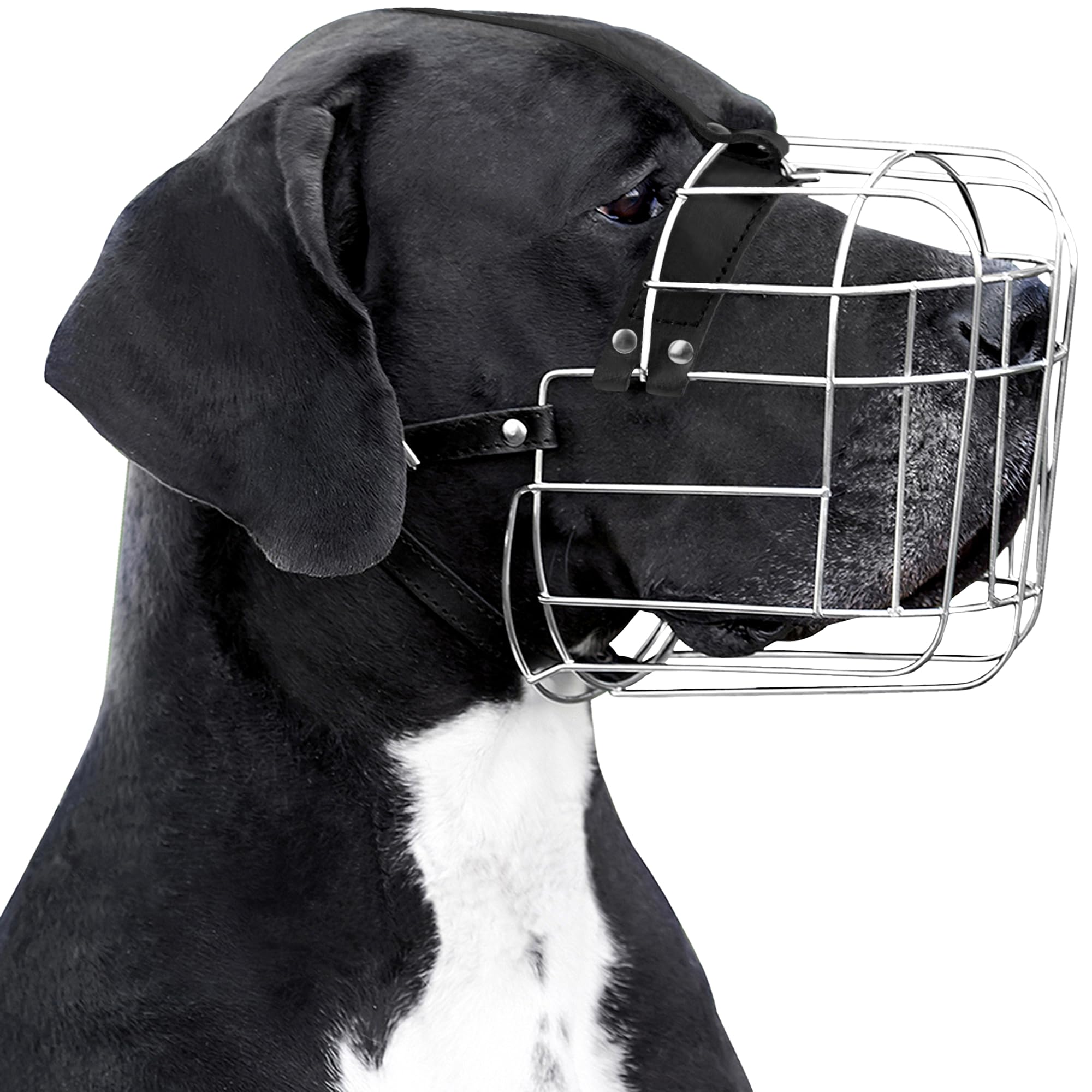 BRONZEDOG Hundemaulkorb XL mit Lederbändern – Atmungsaktiv & Verstellbar für Grosse Hunde
