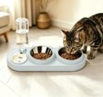 Marchul 3-in-1 Katzennapf mit Wasserspender – Erhöhter Futternapf & Edelstahl für Katzen – Bild 6