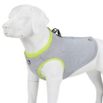MOKCCI Truelove Kühlweste für Hunde – Verdunstungskühlung für Outdoor & Training