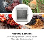 Klarstein Captain Jerky 110 Dörrautomat – 1000 W Dörrgerät mit Edelstahl für Obst, Gemüse & Fleisch – Bild 6