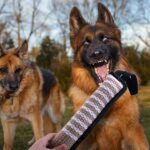 winbarry Beisswurst 30 cm – Robustes Hundespielzeug aus Naturleinen für Tauziehen – Bild 8