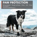 Non-stop dogwear Protector Bootie M – Wasserdichte Hundeschuhe mit Antirutsch für aktive Hunde – Bild 3