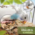 Vogelgaleria Korksitzbrett groß 20x10 cm – Natürliche Schnabel- & Krallenpflege für Wellensittiche & Papageien – Bild 4